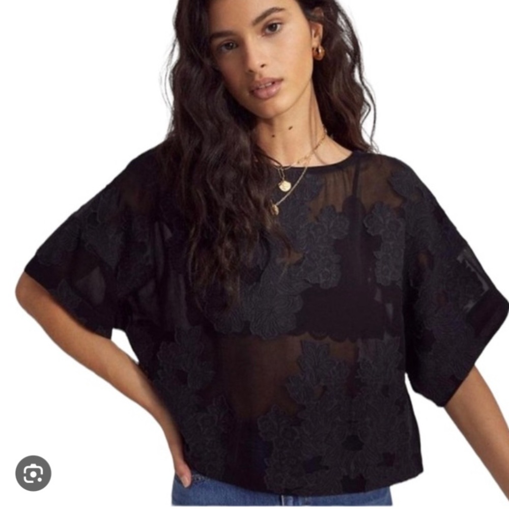 Aritzia Wilfred Black Sheer Blayze Crop Top
